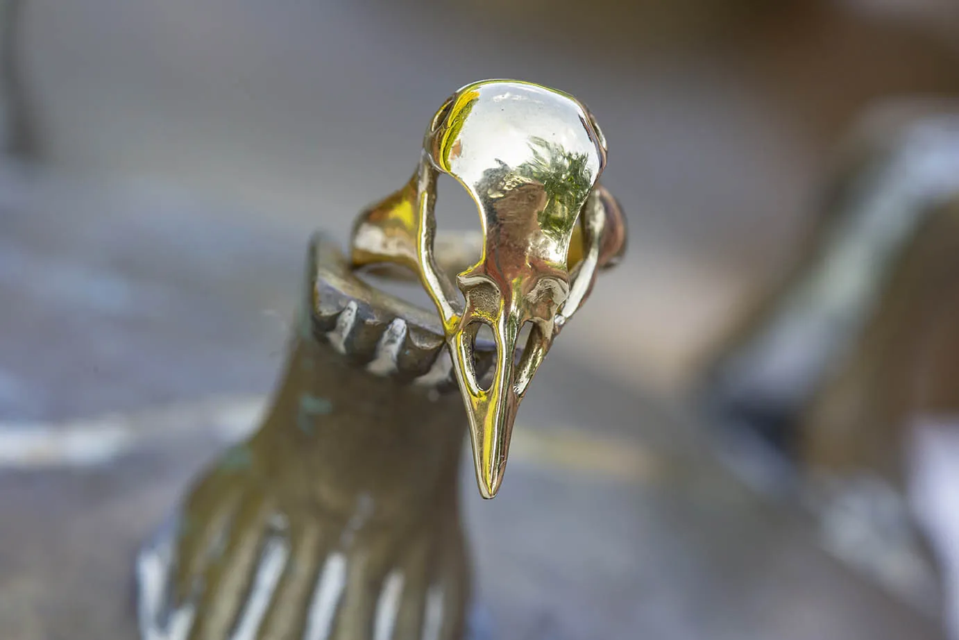 Prsten ptačí lebka - 20mm