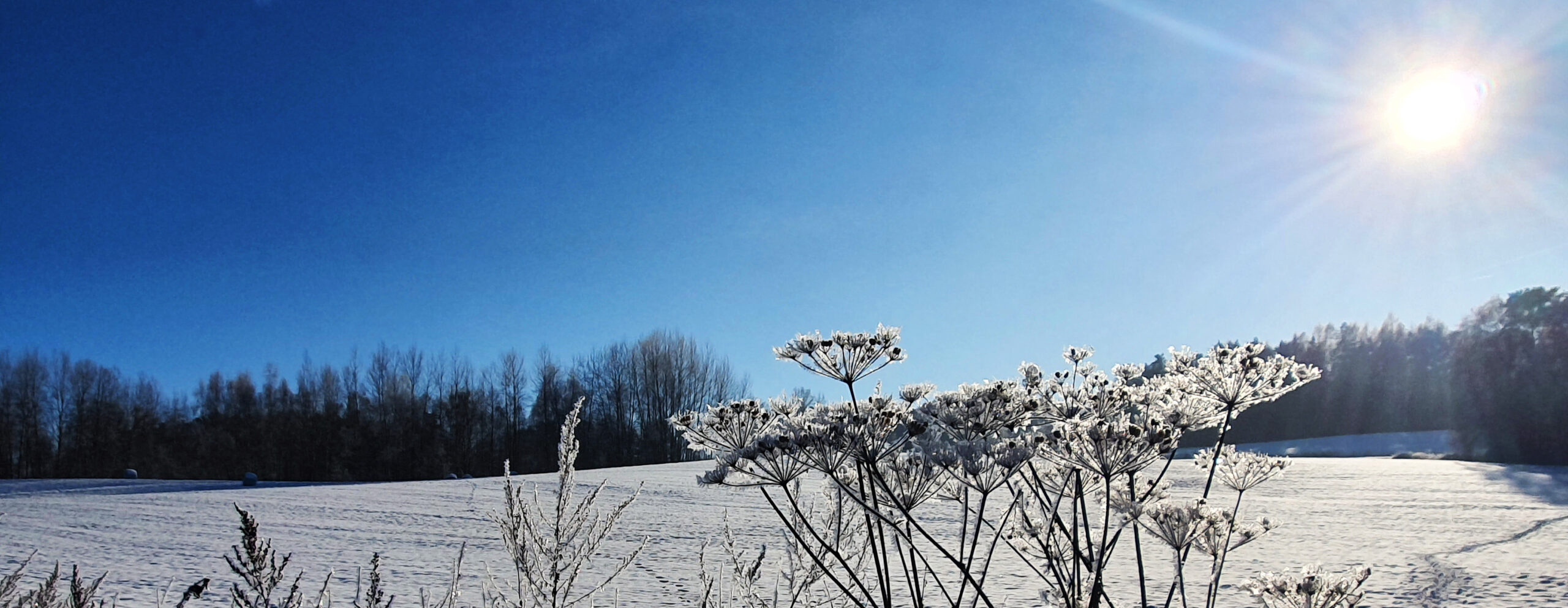 Yule – kruh se uzavírá…a zase začíná