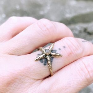 Prsten mořská hvězdice