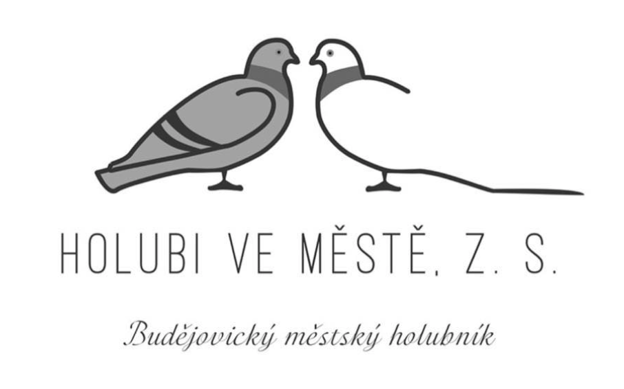 Screen Shot 2025-09-03 at 19.23.47